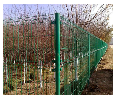 园林绿化护栏网