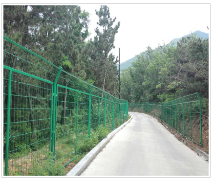 园林绿化护栏网