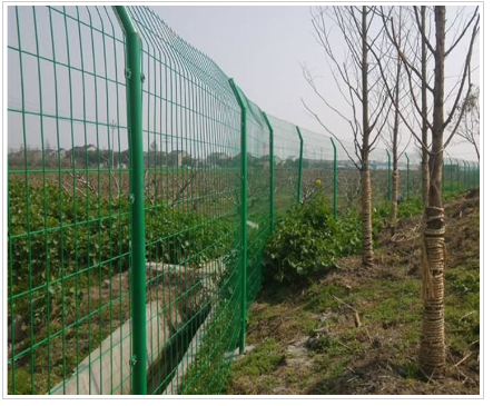 园林绿化护栏网